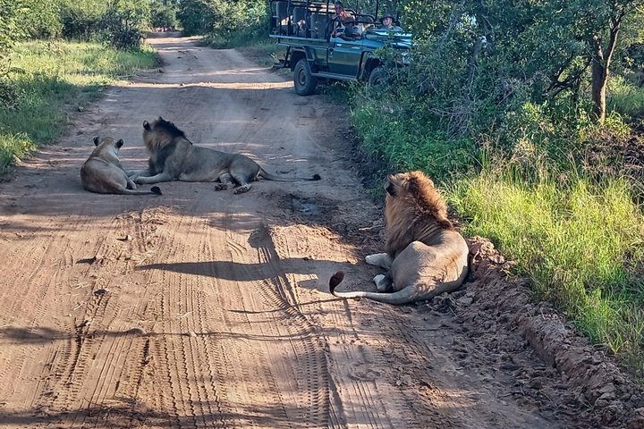 2 nights Private Kruger Park Safari and Panorama Route - Photo 1 of 25